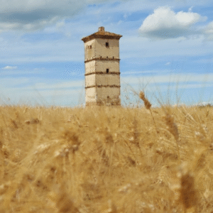 EVENTO PROVA:  Visita alla Torre Colombaia di Cà Salvioni