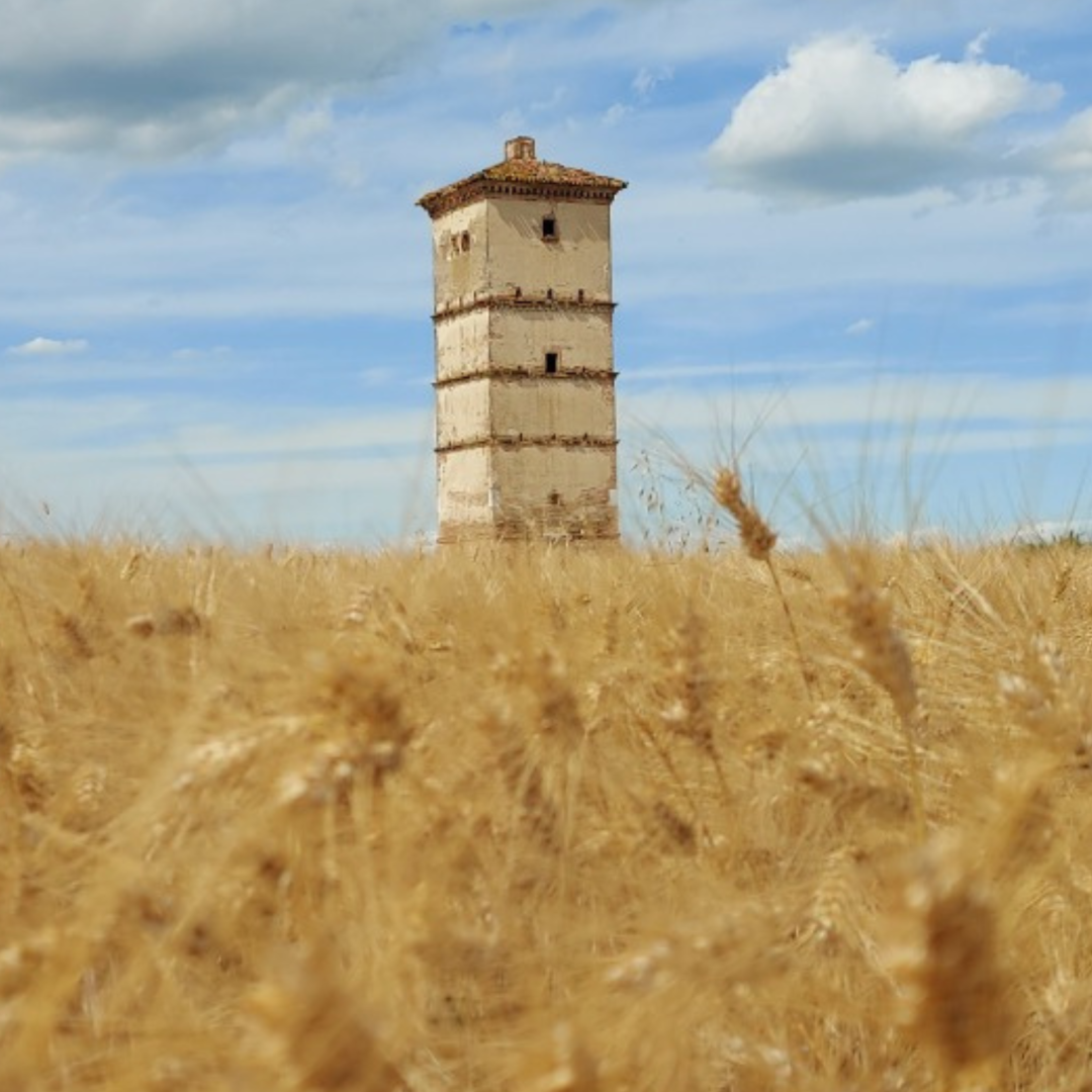 Torre_colombaia_1